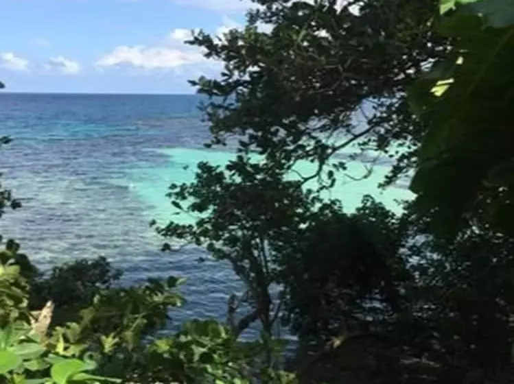 پانسیون The Blue Lagoon Hostel & Private Rooms