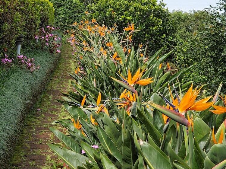 مبيت وإفطار Finca Paraiso Mountain Retreat