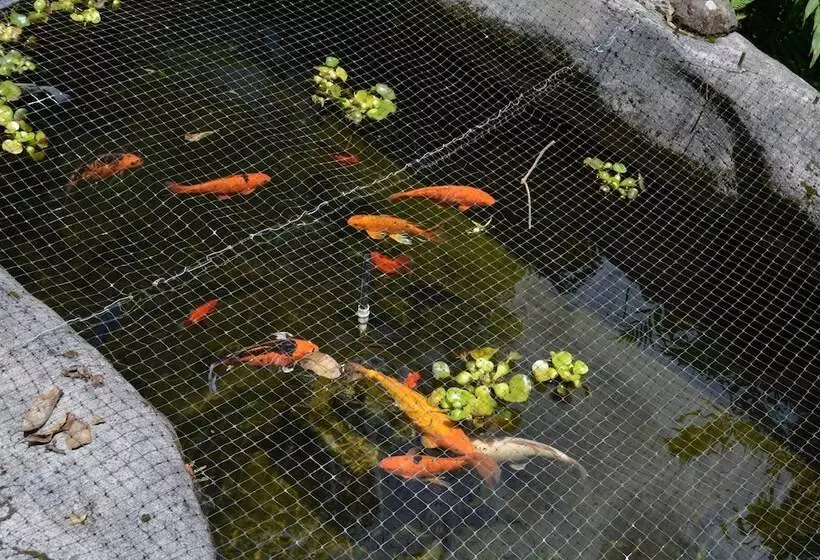 Aamiaismajoitus (B&B) Finca Paraiso Mountain Retreat