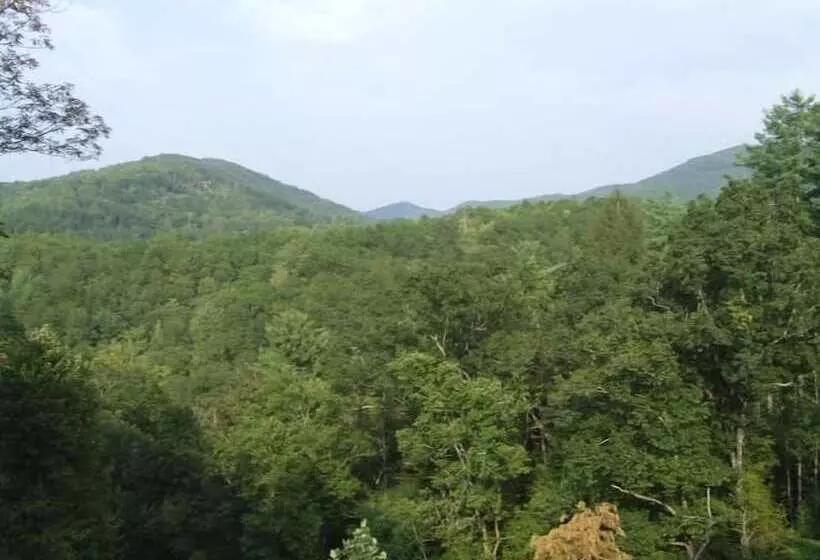 Crockett Mountain Lodge Nevaeh Cabin Rentals