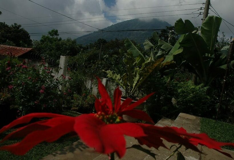 مسافرخانه Los Cactus