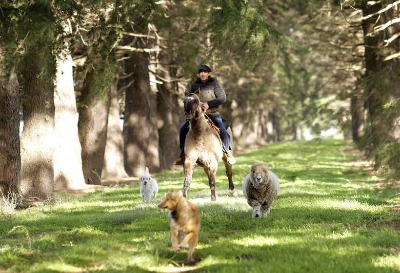 Hotel Estancia Argentina La Armonia