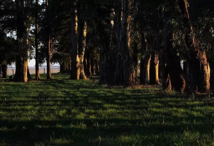 Hotelli Estancia Argentina La Armonia