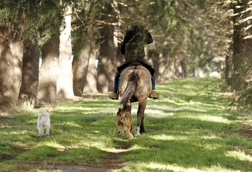 Hotel Estancia Argentina La Armonia