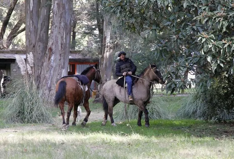 Hotelli Estancia Argentina La Armonia