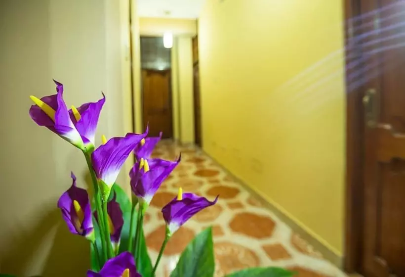 ホテル Hospedaje Rosa Victoria