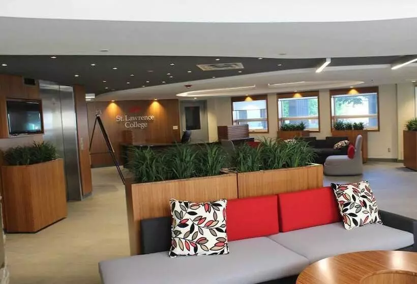 هاستل Backpacker College At St Lawrence University