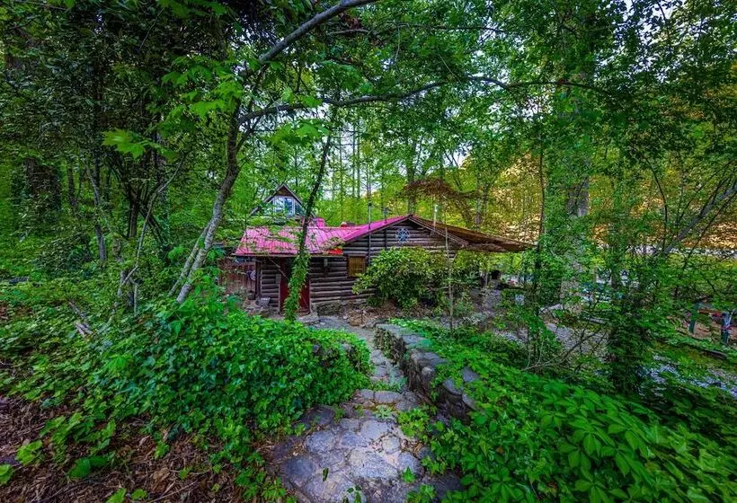 Bear Creek Lodge And Cabins In Helen Ga   Pet Friendly, River On Property, Walking Distance To Downt