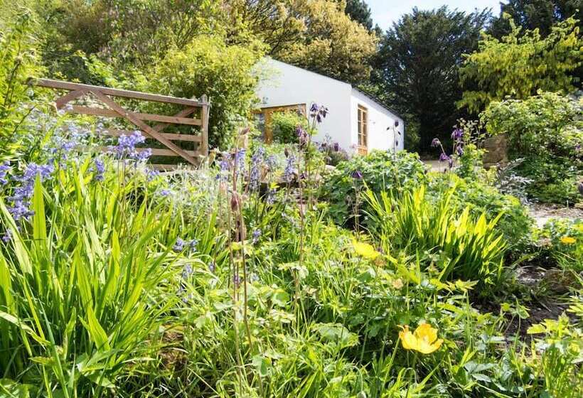 Bed and Breakfast Hadrian S Barn