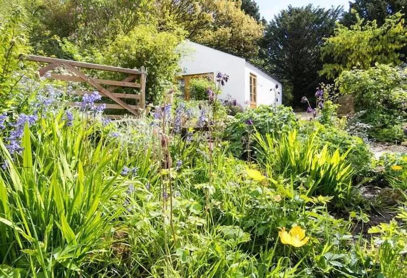 Aamiaismajoitus (B&B) Hadrian S Barn