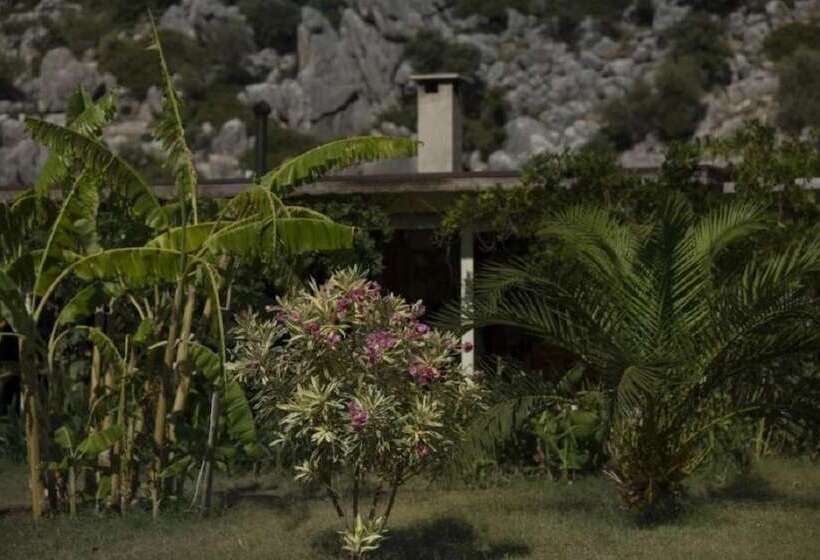 酒店 Kocabahce Glamping