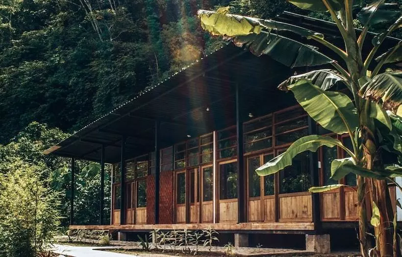 ホテル Kuyana Amazon Lodge