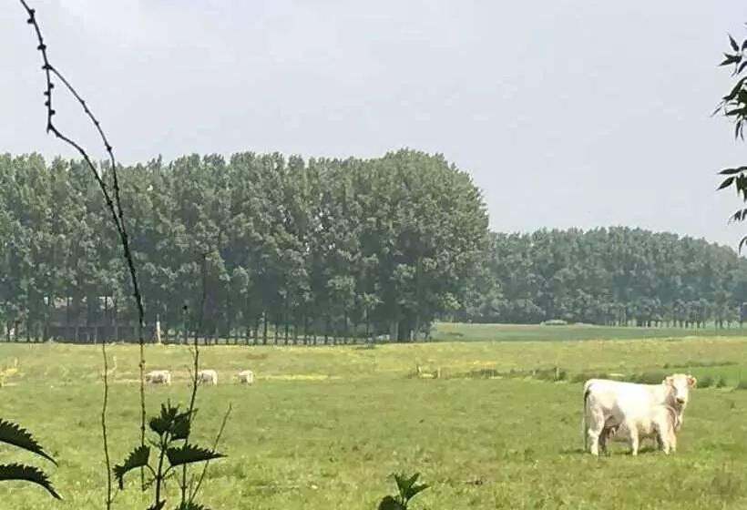ペンション Domaine Château De Bourville