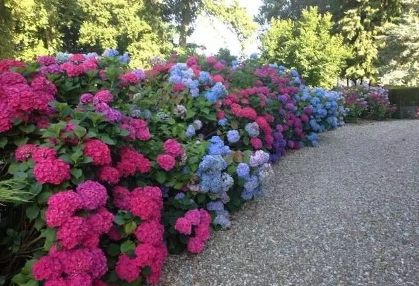 ペンション Domaine Château De Bourville