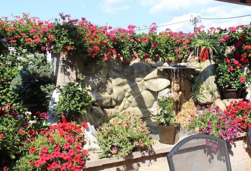 پانسیون Guesthouse Tara