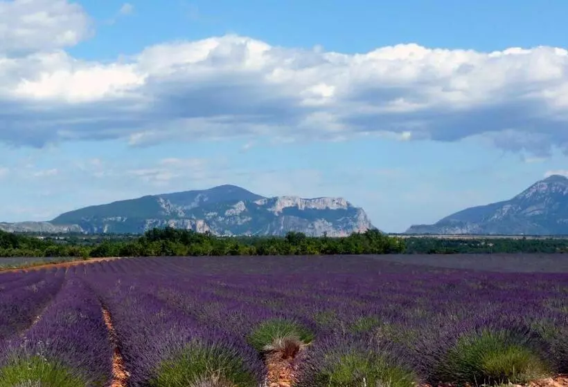 レジデンス Odésia Vacances Domaine Du Thronnet