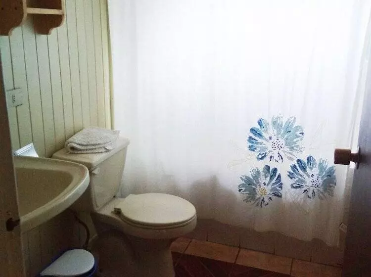 The Pink House   Hostel