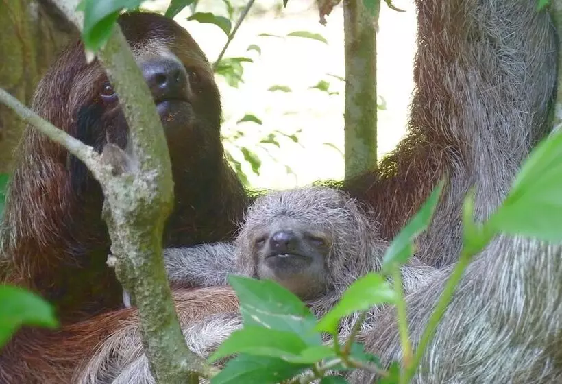 B&b Jardin De Los Monos