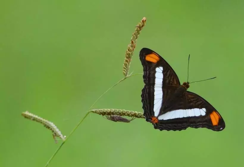 B&b Jardin De Los Monos