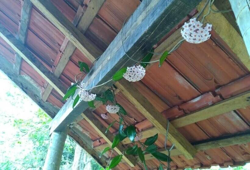 Bed & Breakfast Acomodação Penedo