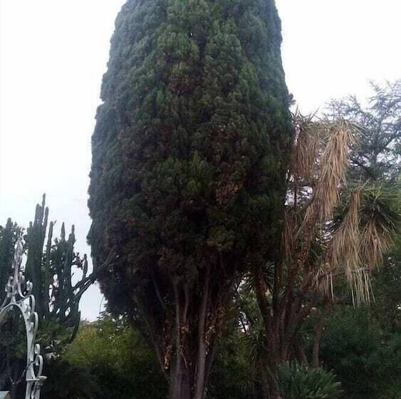 Bed and Breakfast La Gardenia