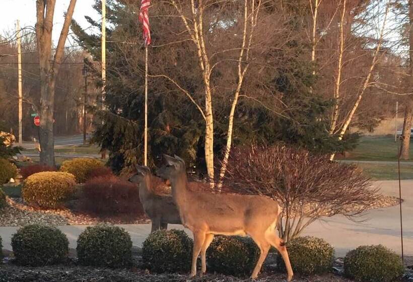 Chapel Valley Estate Bed & Breakfast