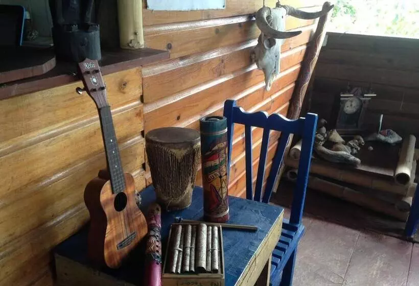Dreamcatcher Hostel