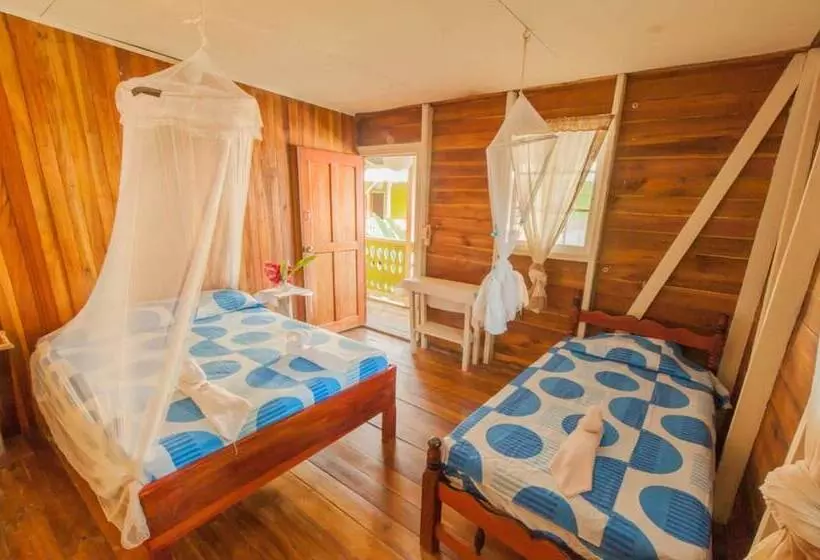 Dreamcatcher Hostel