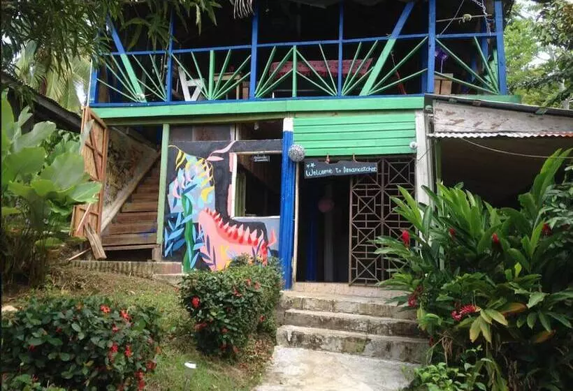Dreamcatcher Hostel