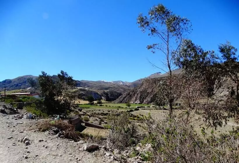 Hostal Pachamama Putre Hostel