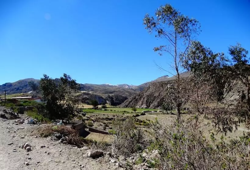 Hostal Pachamama Putre Hostel