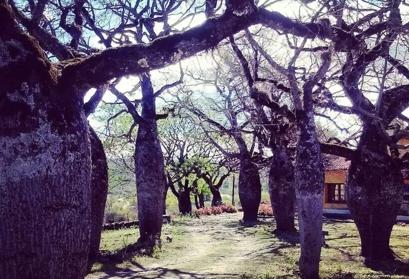 Hotelli El Paso Del Indio