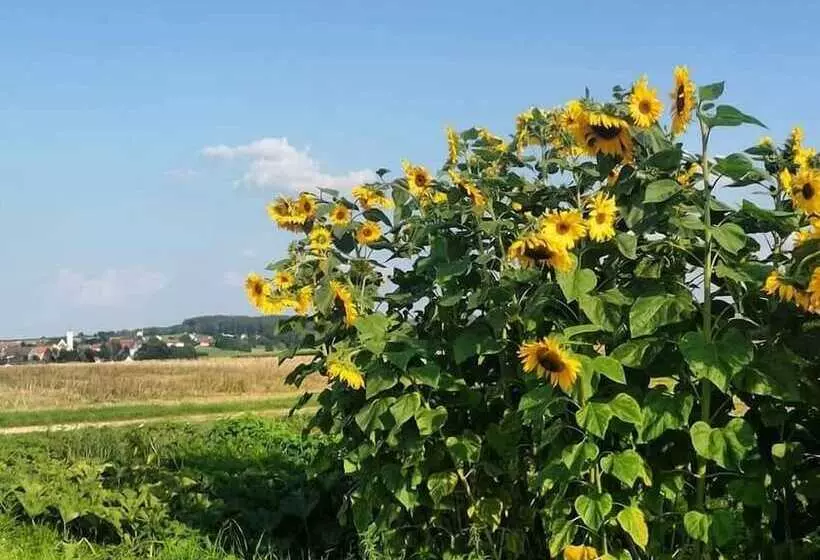 Hotelli Ferienwohnung Maria Waldblick