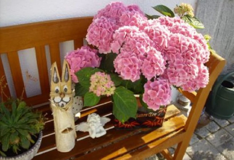 ホテル Ferienwohnung Maria Waldblick