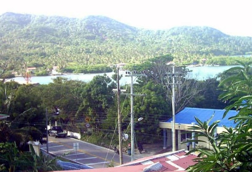 هتل Flemming Tree