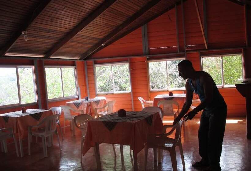 هتل Flemming Tree