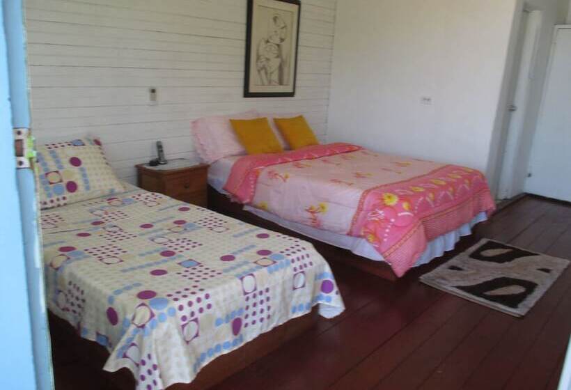 هتل Flemming Tree