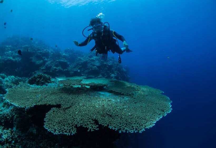 Hotel Sogod Bay Scuba Resort