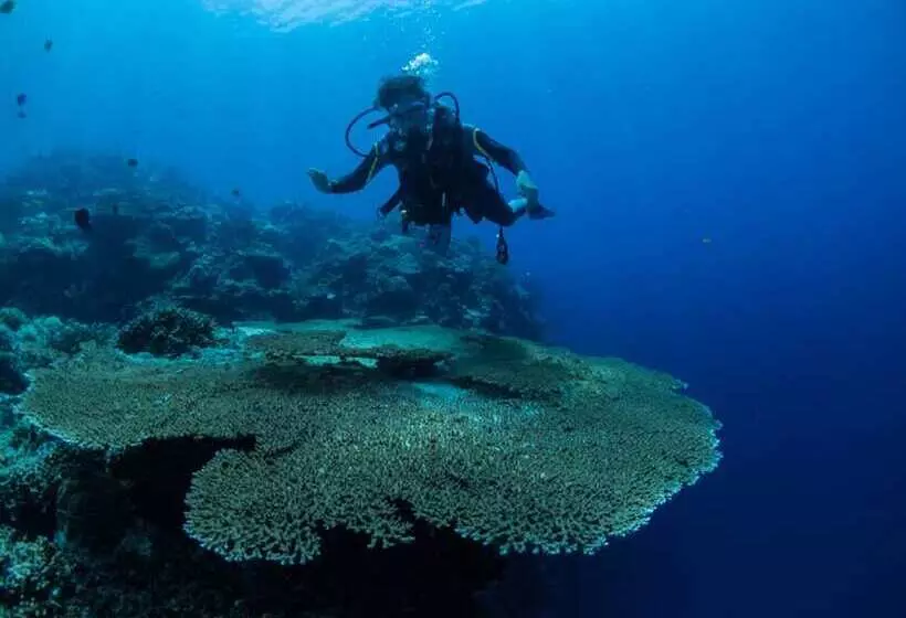 Hotelli Sogod Bay Scuba Resort