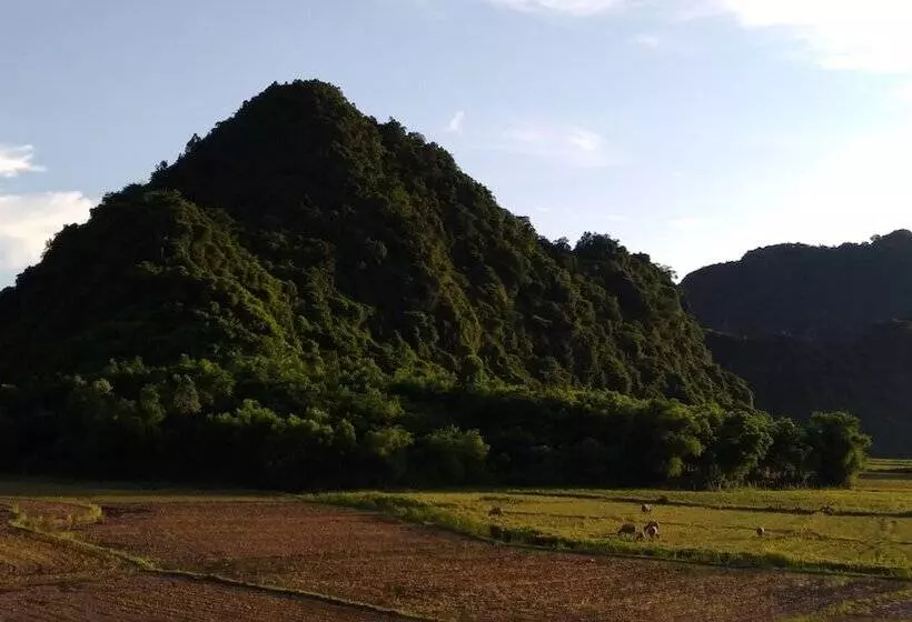 هتل Thao Nguyen Homestay