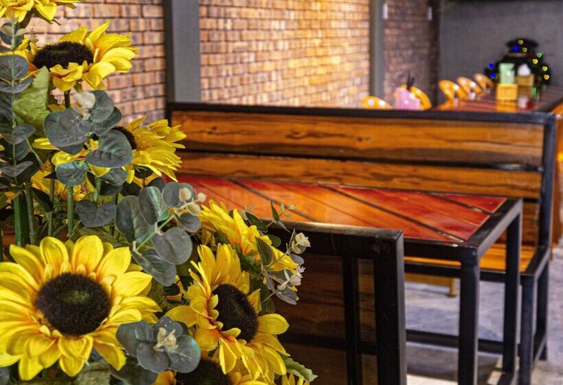 هتل Thao Nguyen Homestay