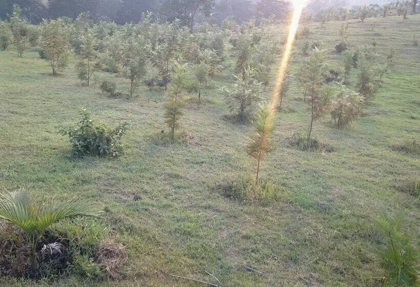 هتل The Crested Crane Bwindi