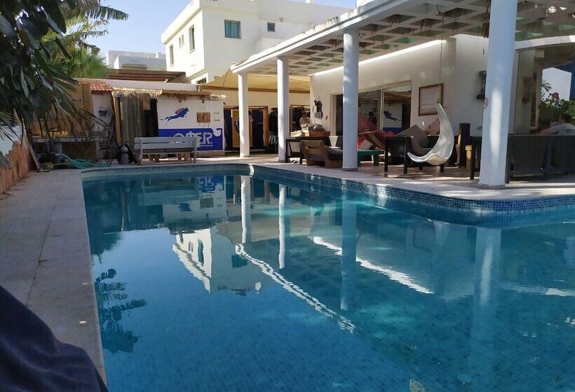 ペンション Ahla Diving Center