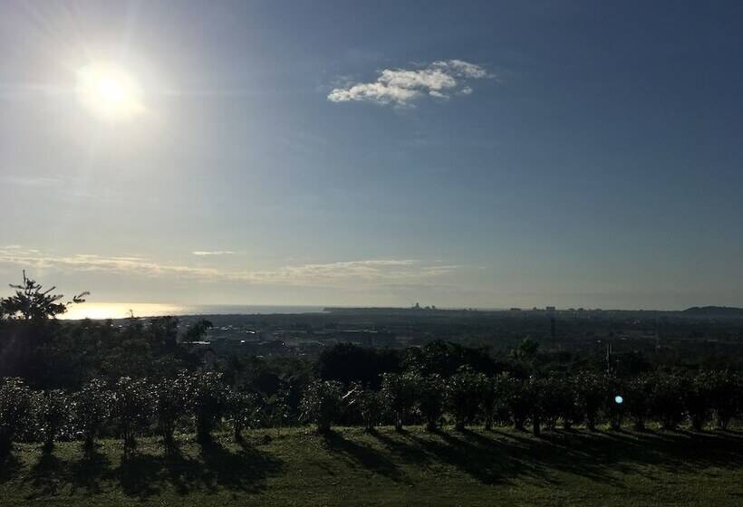 تختخواب و صبحانه Joy Garden