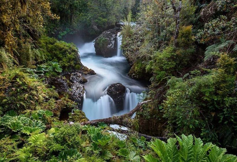 Cabañas Pewma Futrono