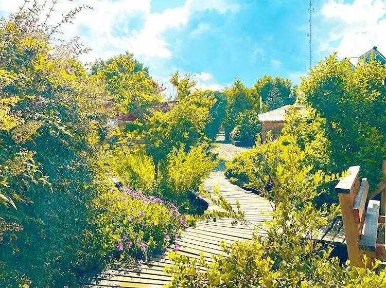 Cabañas Pewma Futrono