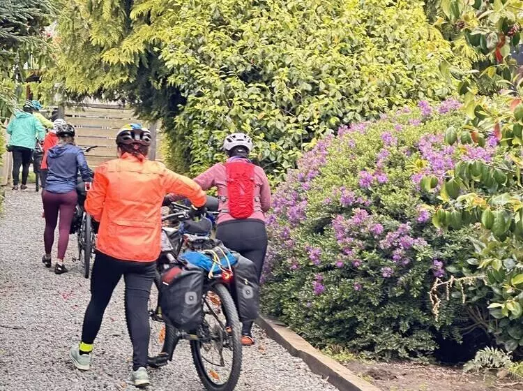 Cabañas Pewma Futrono