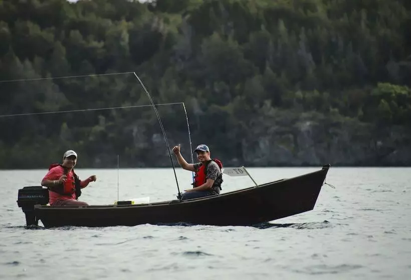 Cabañas Pewma Futrono