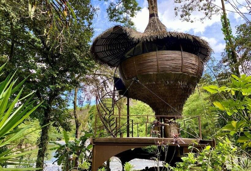 Cabanas Rio Encantado