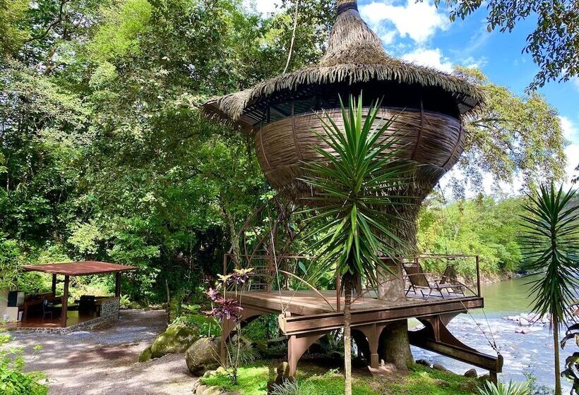 Cabanas Rio Encantado